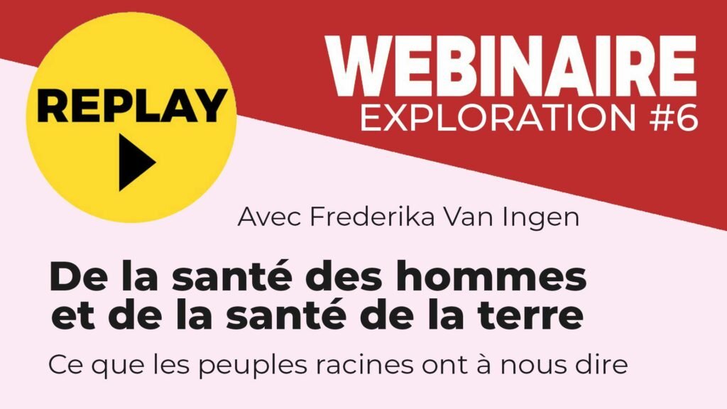 repaly-article-webinaire-6